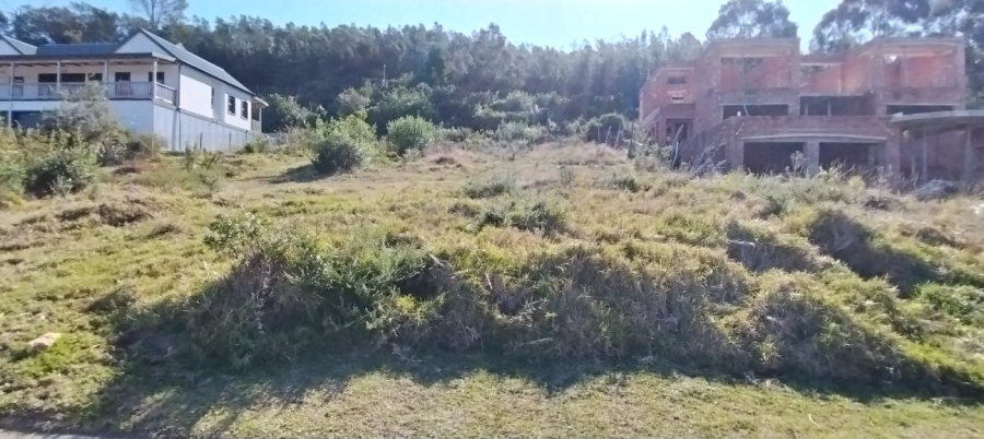 0 Bedroom Property for Sale in Green Pastures Western Cape